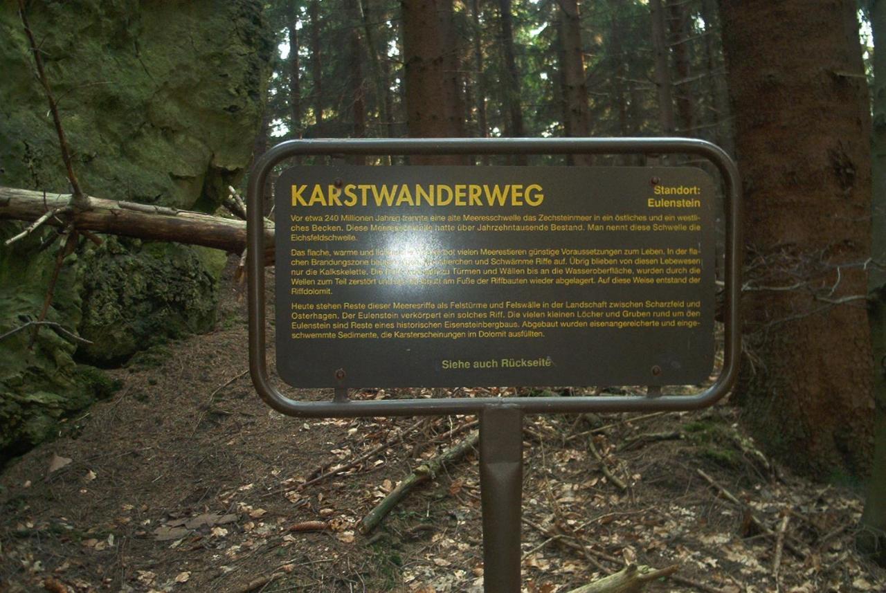 Ferienwohnungen Stricker Harz Валькенрид Экстерьер фото